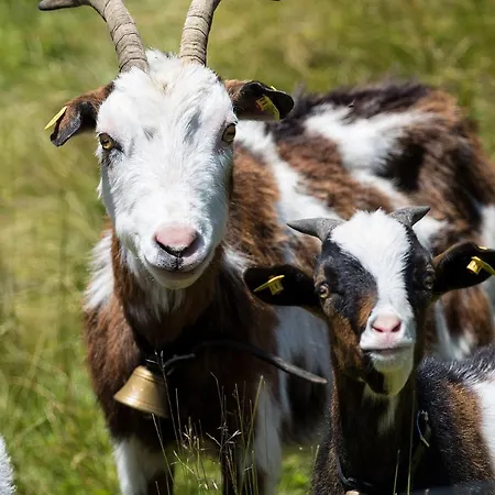 Silbertal Hotel Sölden