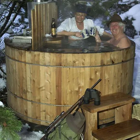 Готель Silbertal