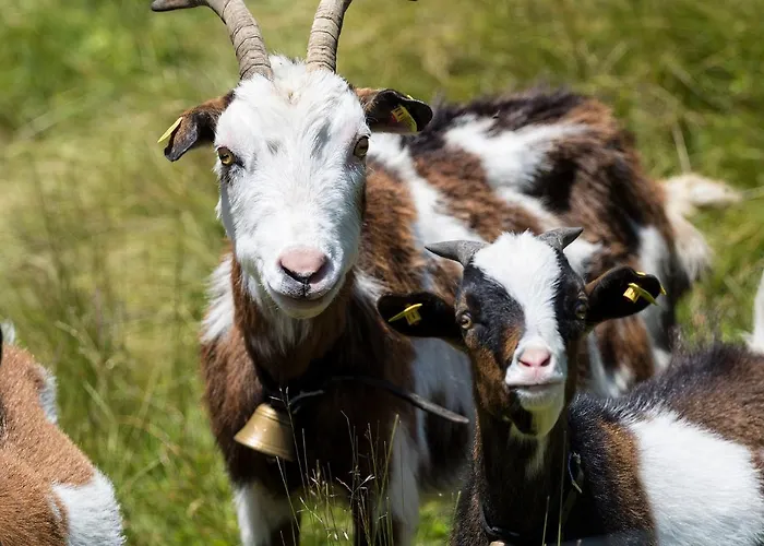 Silbertal Otel Sölden